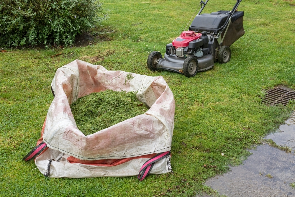 when-to-stop-mowing-your-lawn-in-autumn-frosts