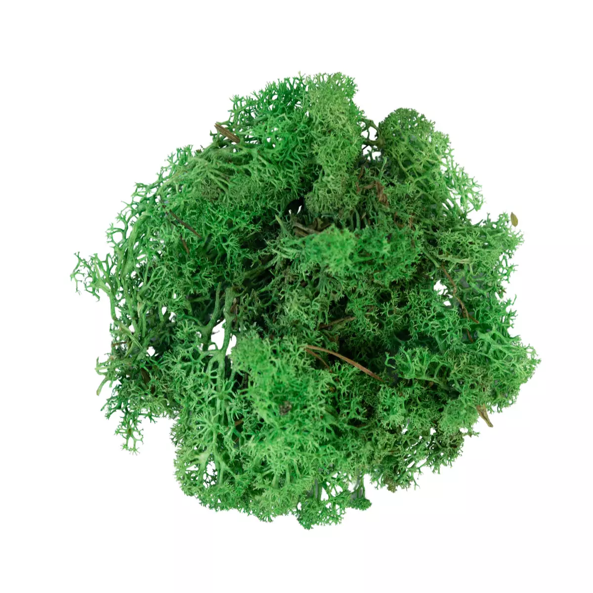 My Village - Reindeer Moss Green