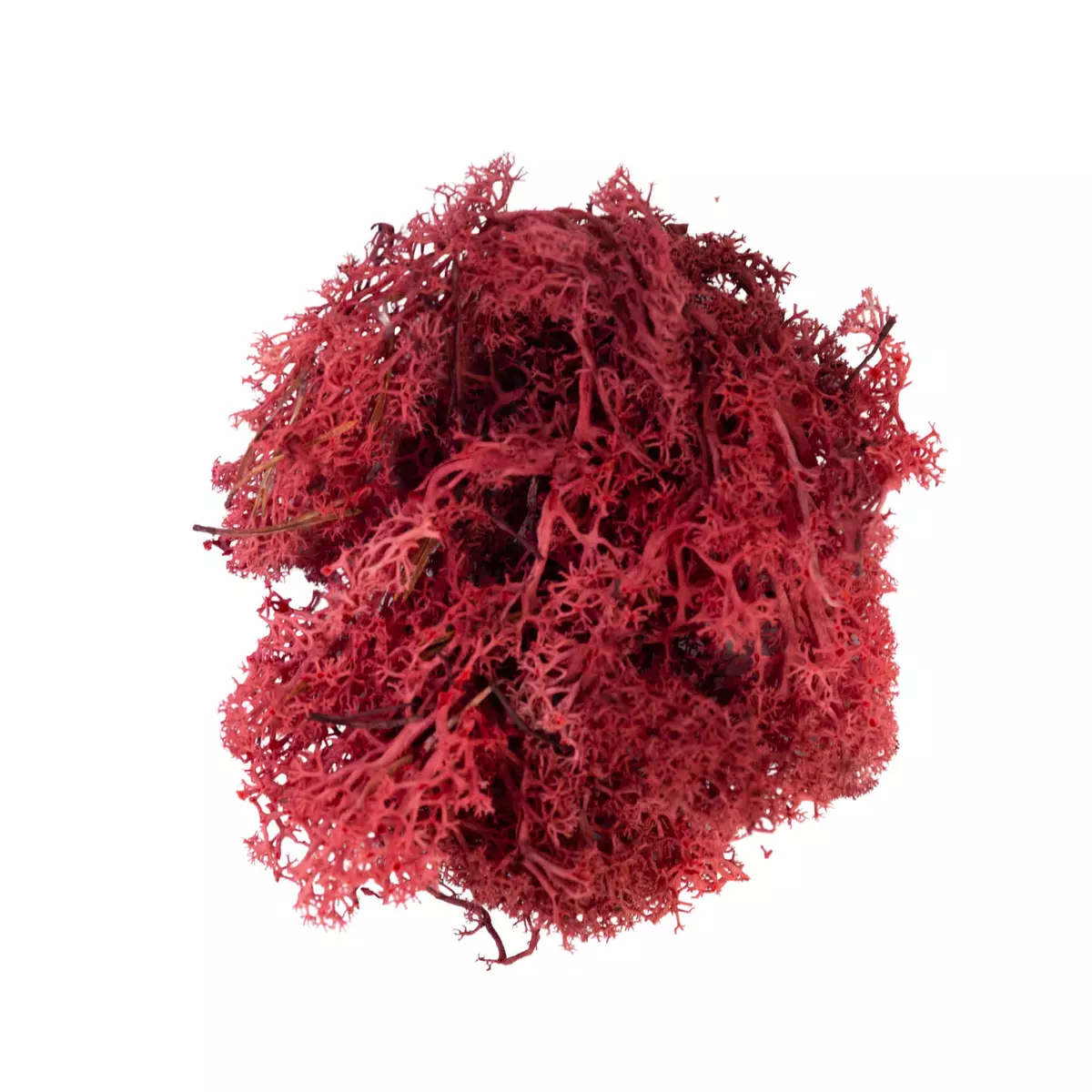 My Village - Reindeer Moss Red